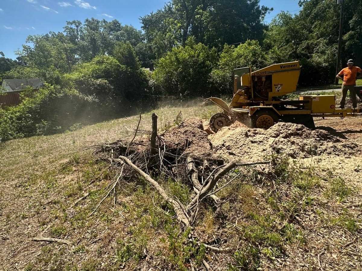 El Costeño Tree Service LLC